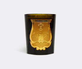 Trudon &#39;Abd El Kader&#39; candle, great GREEN CITR22ABD011GRN