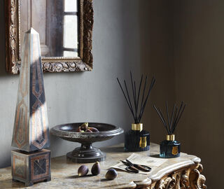 Trudon 'Figuerie' reed diffuser, green BLUE CITR26FIG981BLU