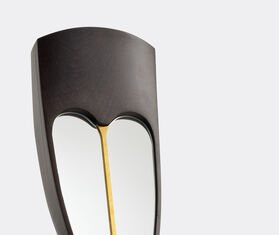 Col&eacute; &#39;Wise - Eze&#39; mirror BLACK COIT20WIS412BLK