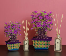 VESTA 'Magnolia Bonsai' diffuser, small, pink VIOLET VEST26BON380PUR