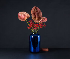 Pulpo 'Container', high, cobalt and apricot MULTICOLOUR PULP22CON393MUL