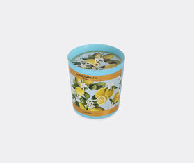 Dolce&amp;Gabbana Casa 'Lemon' scented candle MULTICOLOUR DGCA23PER420MUL