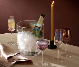 LSA International &#39;Pearl&#39; champagne set WHITE LSAI21PEA342WHI