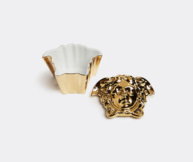 Rosenthal Gold box GOLD ROSE21GOL561GOL