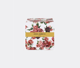 Dolce&amp;Gabbana Casa 'Musk Rose' scented candle MULTICOLOUR DGCA23PER390MUL