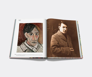 Assouline 'Pablo Picasso: The Impossible Collection' BROWN ASSO19PAB619BRW
