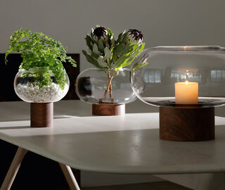 LSA International 'Oblate' vase, medium TRANSPARENT LSAI21OBL646TRA
