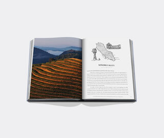 Assouline 'Wine &amp; Travel USA' BLUE ASSO25WIN365BLU