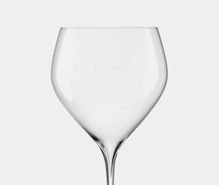 LSA International 'Savoy' red wine glass, set of two TRANSPARENT LSAI22SAV555TRA