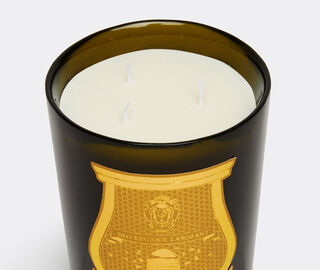 Trudon 'Cyrnos' candle, large GREEN CITR21CYR079GRN