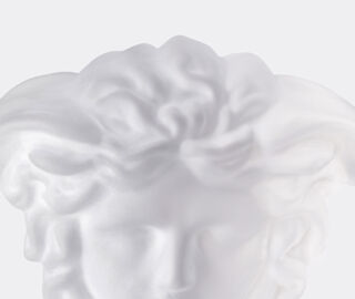Rosenthal 'Medusa' crystal TRANSPARENT ROSE21MED090TRA