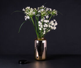 Pulpo 'Container', high, orange and black MULTICOLOUR PULP22CON416MUL