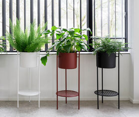 XLBoom &#39;Ent&#39; plant stand, medium, black BLACK XLBO20ENT636BLK