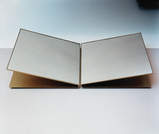 Marta Sala &Eacute;ditions 'SP1 Renoir' wall mirror BRASS MSED18REN749BRA
