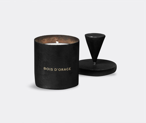 Mad et Len 'LEMAIRE - Bois d'Orage' candle undefined ${masterID} 2