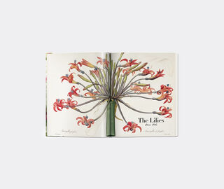 Taschen 'Redout&eacute;. The Book of Flowers XL' MULTICOLOUR TASC21RED937MUL