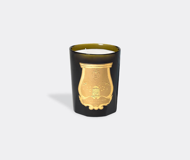 Trudon 'Ernesto' candle, large GREEN CITR20ERN045GRN