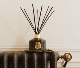 Trudon 'Ernesto' reed diffuser refill TRANSPARENT CITR26ERN431TRA
