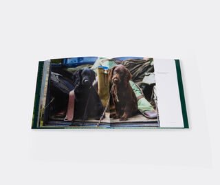 Rizzoli International&nbsp;Publications 'Country Life's Book Of Dogs' MULTICOLOUR RIZZ25COU446MUL