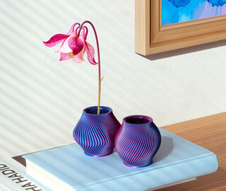 Sheyn 'Boyk and Bloz' mini vase, set of two, bubblegum PINK SHEY26BLO858PIN