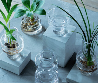 LSA International 'Metropole' mini vases, set of five TRANSPARENT LSAI20MET401TRA