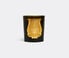 Trudon 'Madeleine' candle Green CITR21MAD426GRN
