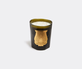 Trudon 'Ernesto' candle, great GREEN CITR21ERN059GRN