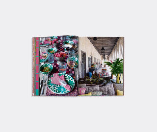 Vendome 'Inside Yucat&aacute;n: Hidden Merida And Beyond' MULTICOLOUR VEND25INS457MUL