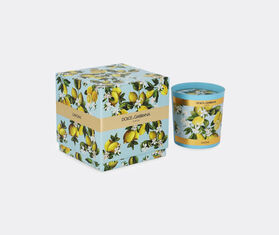 Dolce&amp;Gabbana Casa 'Lemon' scented candle MULTICOLOUR DGCA23PER420MUL