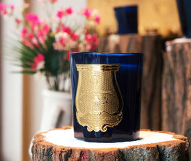 Trudon &#39;Tadine&#39; candle BLUE CITR20TAD501BLU