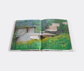Rizzoli International&nbsp;Publications &#39;Fallingwater: Living With And In Art&#39; MULTICOLOUR RIZZ25FAL865MUL