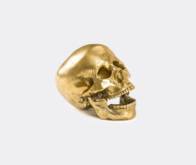 Seletti 'Wunderkrammer Skull', gold GOLD SELE21SKU919GRY