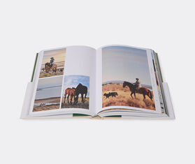 Gestalten 'Remote Places to Stay Vol. 2: Escapes Beyond the Beaten Path' MULTICOLOUR GEST25REM989MUL