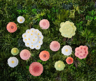 Bordallo Pinheiro 'Maria Flor' dessert plate, set of four, pink MULTICOLOR BOPI26MAR941MUL