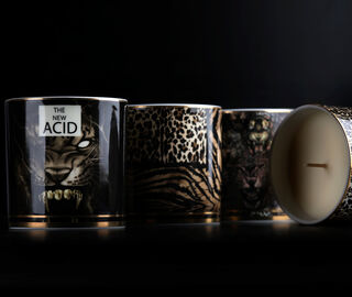 Roberto Cavalli Home 'Queen Of Sicily' scented candle MULTICOLOUR RCHO23QUE888MUL