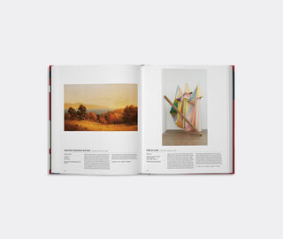 Phaidon 'The American Art Book' MULTICOLOUR PHAI25AME192MUL
