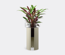 LSA International 'Terrazza' planter, clear and concrete grey, tall TRANSPARENT LSAI22TER213TRA