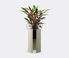 LSA International 'Terrazza' planter, clear and concrete grey, tall Clear LSAI22TER213TRA