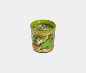 Dolce&amp;Gabbana Casa 'Sicilian Orange' scented candle MULTICOLOUR DGCA23PER748MUL