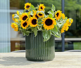 XLBoom &#39;Ikon&#39; pot, green GREEN XLBO23IKO571GRN