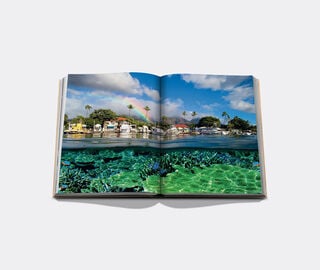 Assouline 'Hawaii Aloha' BEIGE ASSO26HAW649BEI