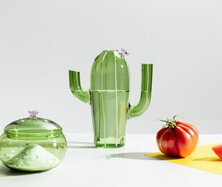 Ichendorf Milano 'Desert Plants' jug, multicolor MULTICOLOUR ICMI25DES610MUL