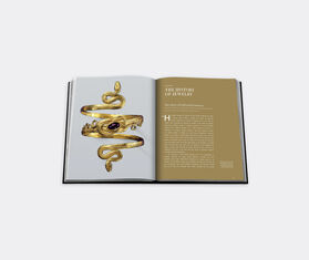 Assouline 'Jewelry Guide : The Ultimate Compendium' BLACK ASSO22JEW411BLK