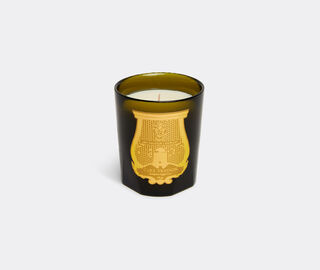 Trudon 'Madeleine' candle GREEN CITR21MAD426GRN