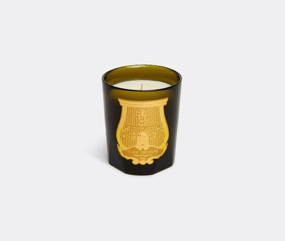Trudon 'Madeleine' candle undefined ${masterID} 2