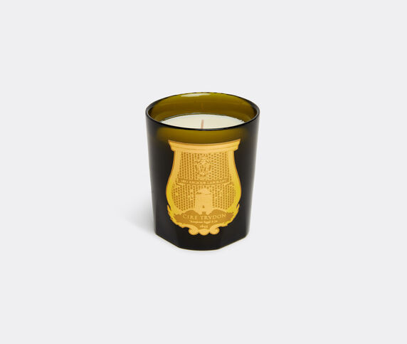 Trudon 'Madeleine' candle Green CITR21MAD426GRN