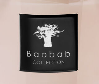Baobab Collection 'Les Exclusives Roseum' candle, small PINK BAOB23LES978PIN