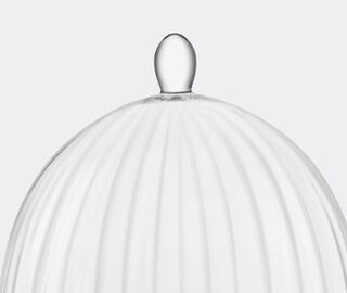 LSA International 'Aurelia' stand and dome TRANSPARENT LSAI20AUR926TRA