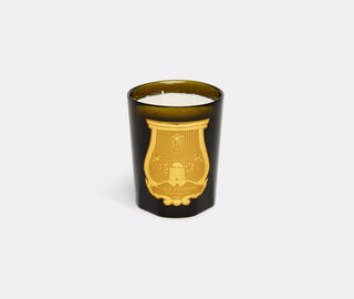 Trudon 'Cyrnos' candle, large GREEN CITR21CYR079GRN