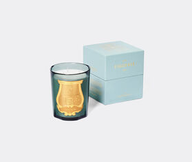 Trudon 'Figuerie' scented candle, medium, green BLUE CITR26FIG943BLU